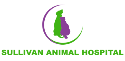 Volunteer Application - Sullivan Animal Hospital - Surrey, BC