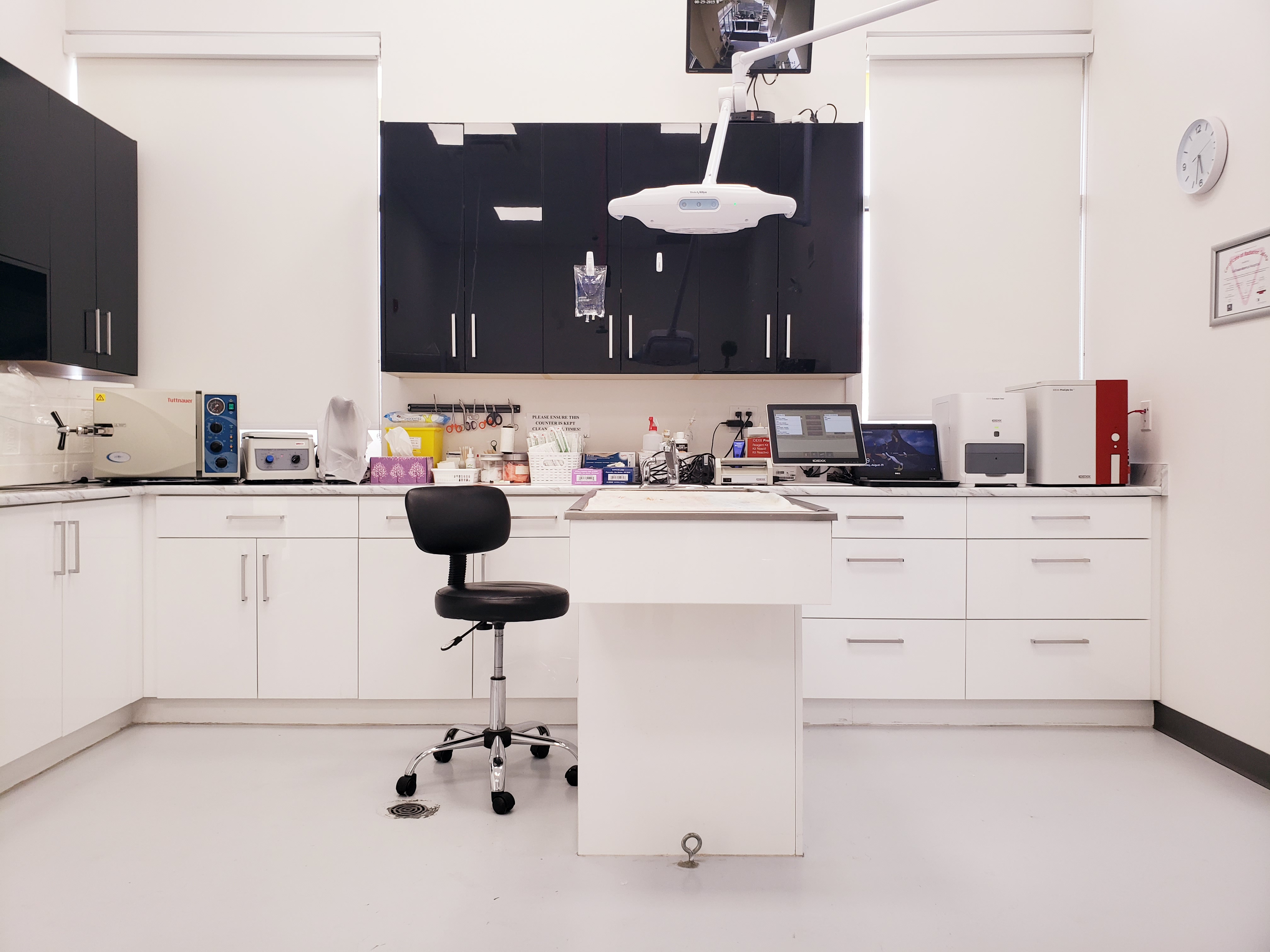 Dental Cleaning Station