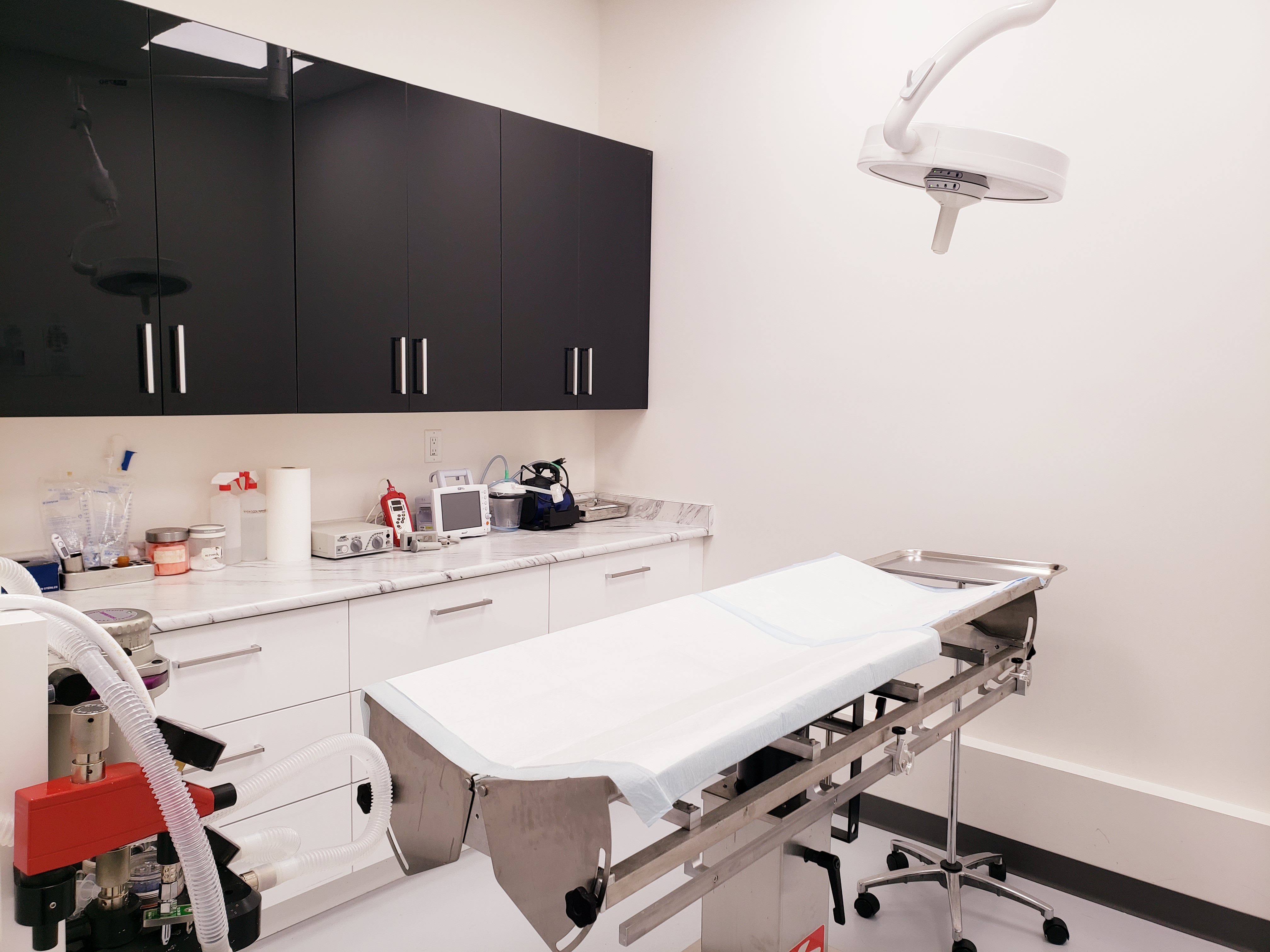 Surgical Suite