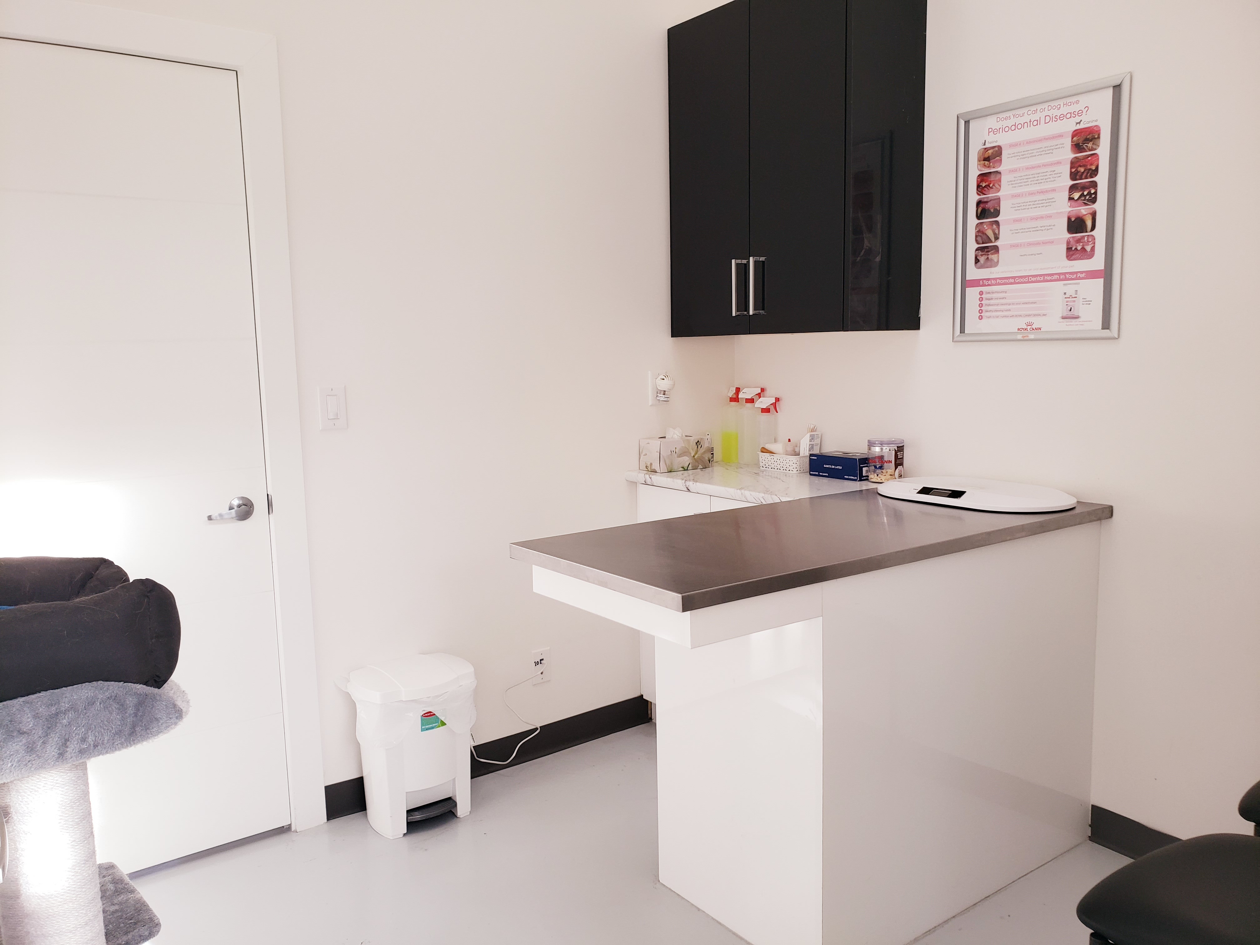 Exam Room